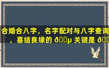 合婚合八字，名字配对与八字查询，喜结良缘的 🐵 关键是 🐺 什么